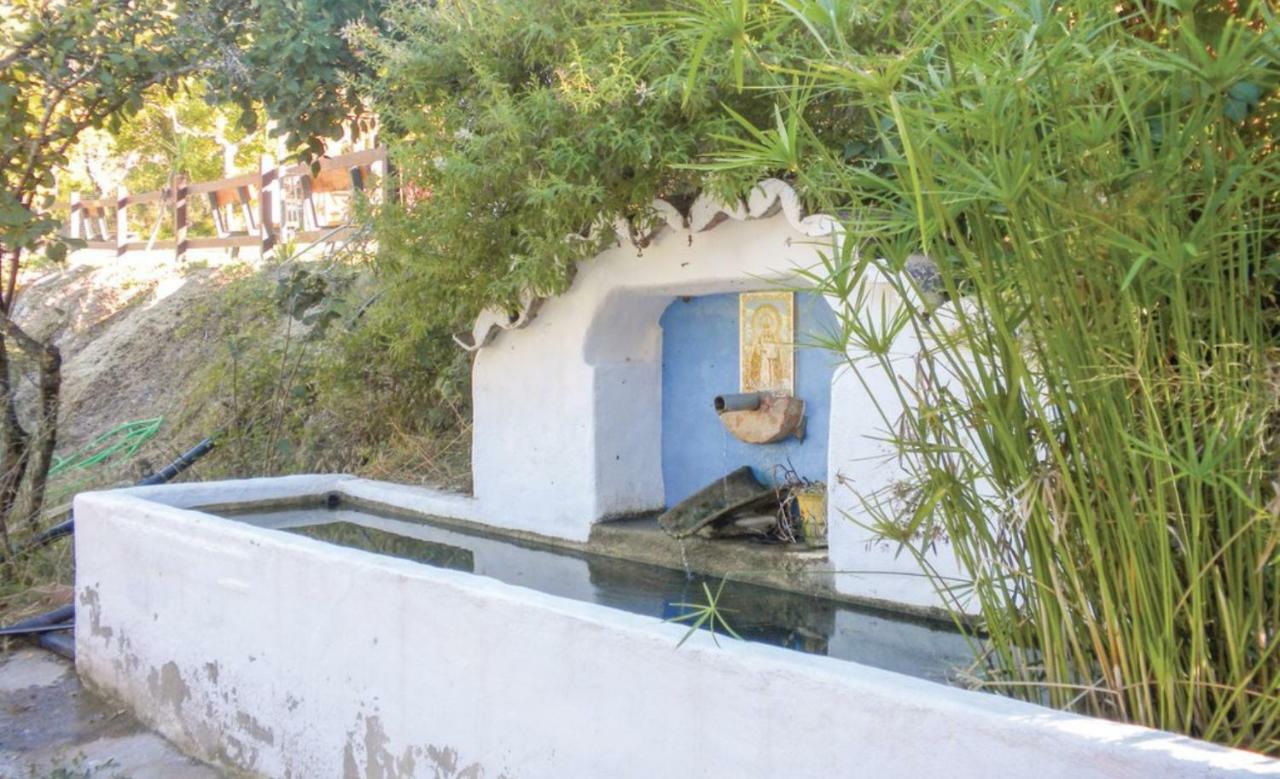 Finca El Huertezuelo El Bosque Dış mekan fotoğraf